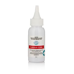 Blue Planet Fungus cure